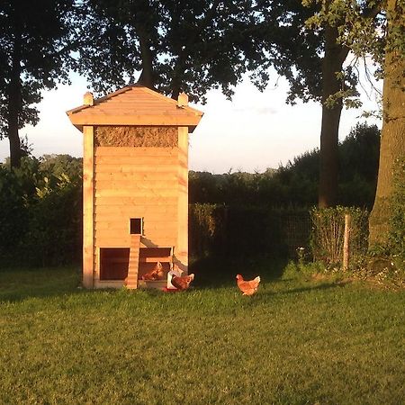 Bed and Breakfast Bed En Boterham Hoeve Boord Ven Eersel Exterior foto
